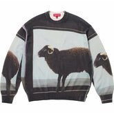 Supreme x Damien Hirst Sweater