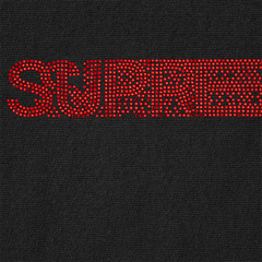 x Swarovski Motion Logo Hoodie