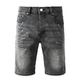 Purple Brand Denim Shorts #5094