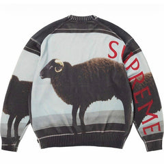 Supreme x Damien Hirst Sweater